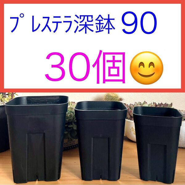 F①【プレステラ90深鉢・2.5号ロング鉢】ブラック30個★