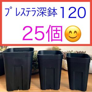 F③ 【プレステラ120深鉢・3.5号ロング鉢】ブラック25個★