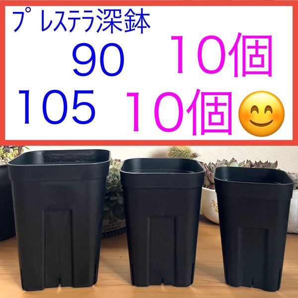 F④ プレステラお得セット★ 【90深鉢10個】【105深鉢10個】