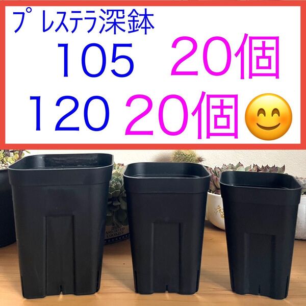 F④ プレステラお得セット★ 【105深鉢20個】【120深鉢20個】