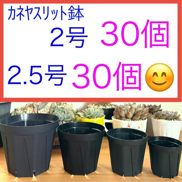 B⑤ スリット鉢お得セット★【2号30個】【2.5号30個】
