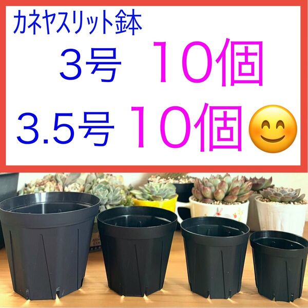 B⑦ スリット鉢お得セット★【3号10個】【3.5号10個】