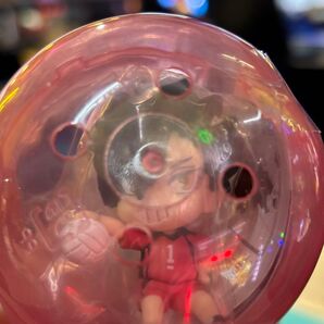 最新 ハイキュー クロ 黒尾 ガチャガチャ