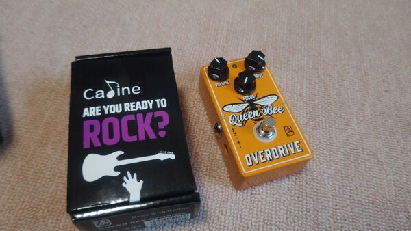 caline queen bee overdrive オーバードライブ