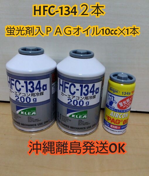 デンゲン R134a用 蛍光剤入エアコンオイル PAGオイル入蛍光剤1本 クーラーガス R134a