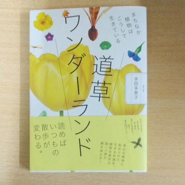 道草ワンダーランド まちなか植物はこうして生きている 多田多恵子/著