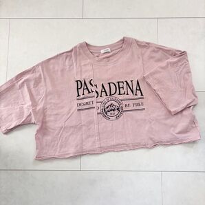 LOWRYS FARM リメイクショートSS