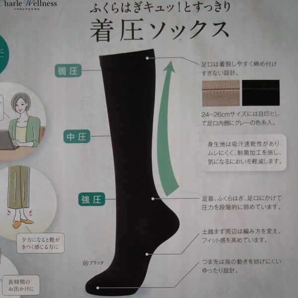 シャルレ ハイソックス (ハードサポートタイプ) 22~24㎝