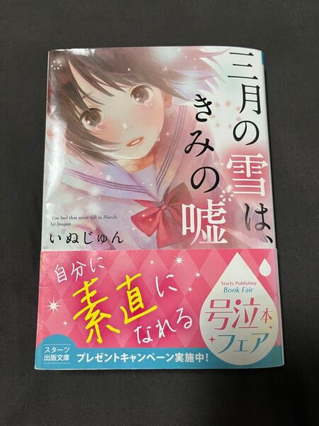 三月の雪は、きみの嘘