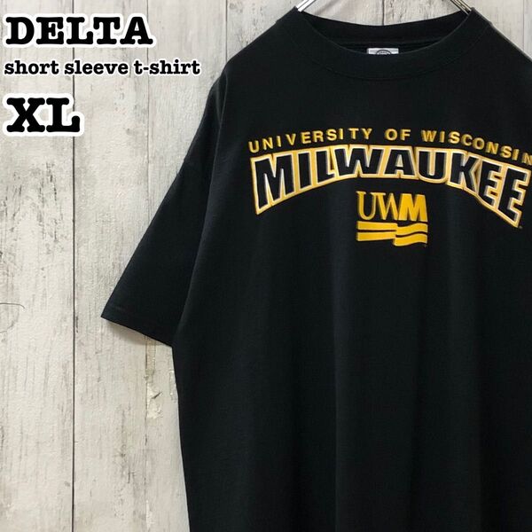 デルタ US アメリカ古着 ウィスコンシン大学 カレッジプリント 半袖Tシャツ XL