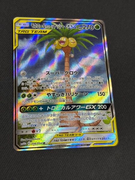 アローラナッシー&モクローgx sa