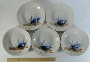 Art hand Auction ☆23H Showa Retro ■ Маленькие тарелки, расписанные вручную, 5 штук, белые ■ Не использовались, Японская посуда, блюдо, Маленькие тарелки