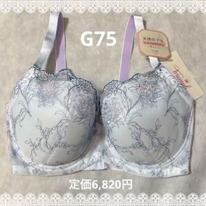 トリンプ 天使のブラ スリムライン 極上ライト G75 新品 匿名配送