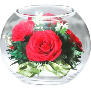 [Toe] Чистая цветочная роза / маленький цветок P-MB-2-R Red ★ Bottle Flower Идеально подходит для подарков и подарков