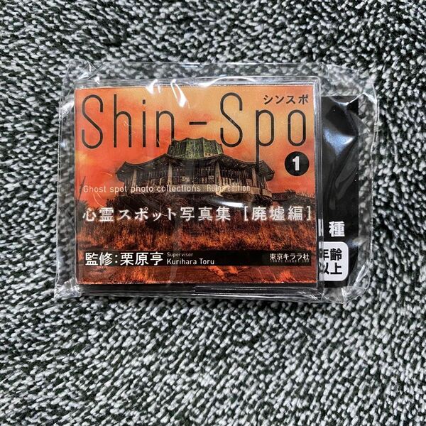 新品未開封 シンスポ 心霊スポット写真集 廃墟編 豆本 ガチャ