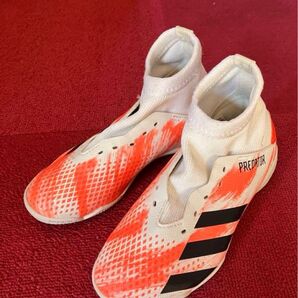 adidas Predator シューズ 19.5