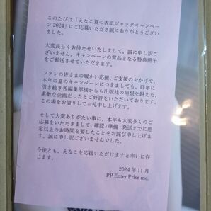 えなこ 夏の表紙ジャックキャンペーン 2024 小冊子 特典冊子 写真集 未開封 クーポン、再出品可