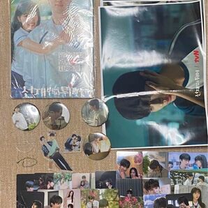 韓国ドラマ ソンジェ背負って走れ トレカ 写真集 海外限定 缶バッジ アクスタ