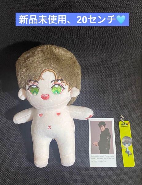 チ・チャンウク ぬいぐるみ ドール 海外限定 20センチ 人形 グッズ トレカ