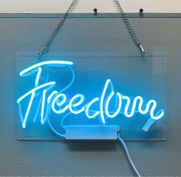 オリジナル 青色 ネオン管 Freedom LED 壁掛け インテリア オーダー ネオンLED 電飾看板 雰囲気照明 お洒落