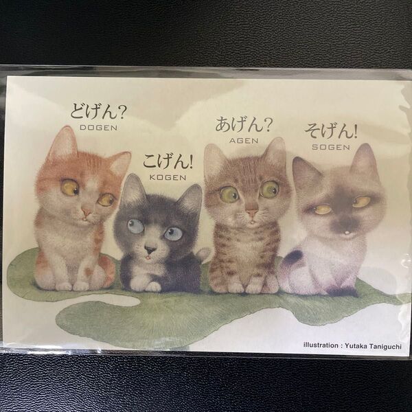 【値下げOK】猫 ポストカード 谷口富