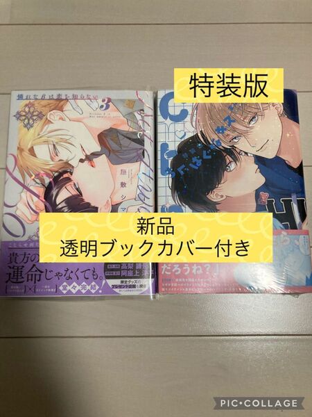 新品 特装版 ちぐはぐなキス 末広マチ/憐れなβは恋を知らない 3巻 屋敷シマ