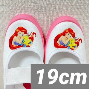 新品 アリエル 上履き バレエ シューズ プリンセス 内ズック 19cm