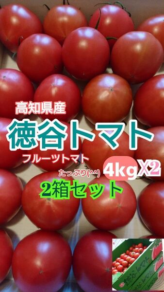 高知県 徳谷トマトフルーツトマト 送料無料4k箱 2箱セット 合計8k