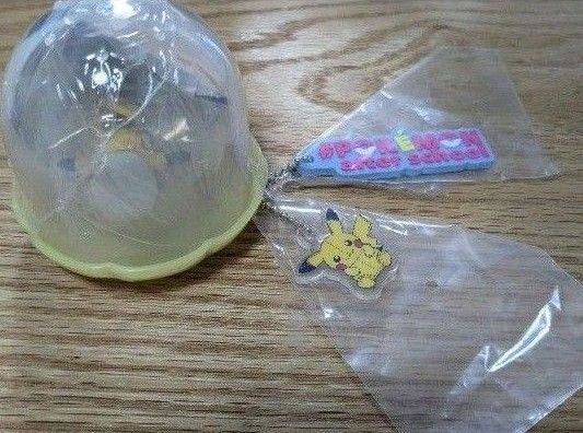 ポケモン ジェムリーズ ハッシュタグつける ピカチュウ