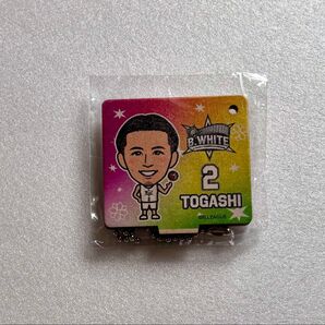 富樫勇樹 ネームホルダーキーチェーン オールスター2025 千葉ジェッツ キーホルダー