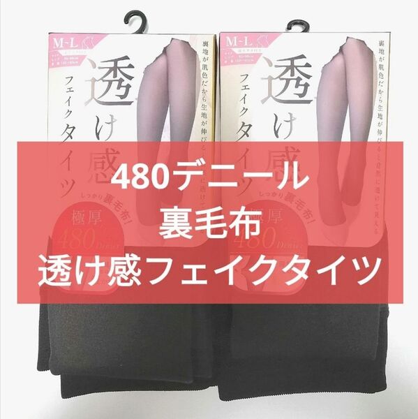 2点セット 透け感 フェイクタイツ 極厚 480デニール 黒 裏毛布 M L