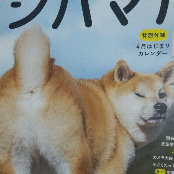 シバマル