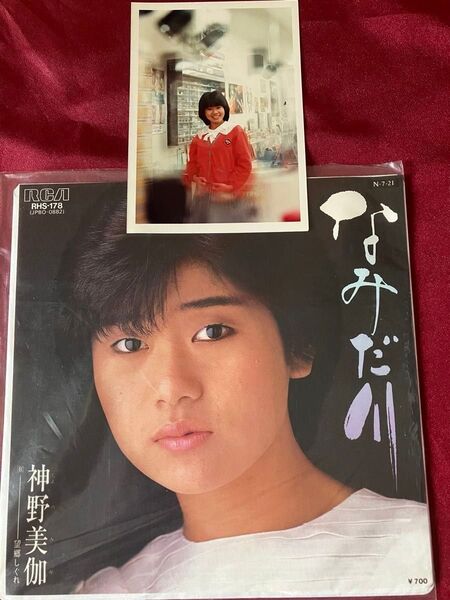 神野美伽 生写真とシングルレコード『なみだ川』と『カモメお前なら』【未使用品】【見本盤】