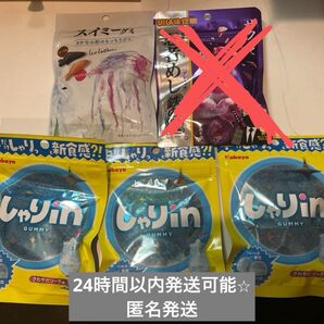 スイミーグミ しゃりinグミ まとめ売り