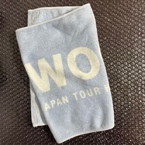 ウォヌ SEVENTEEN セブチ ハルコン ツアータオル 2019 JAPAN TOUR HARU