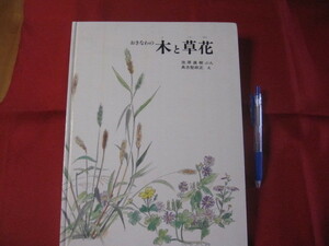 ☆おきなわの木と草花　【沖縄・琉球・自然・植物】