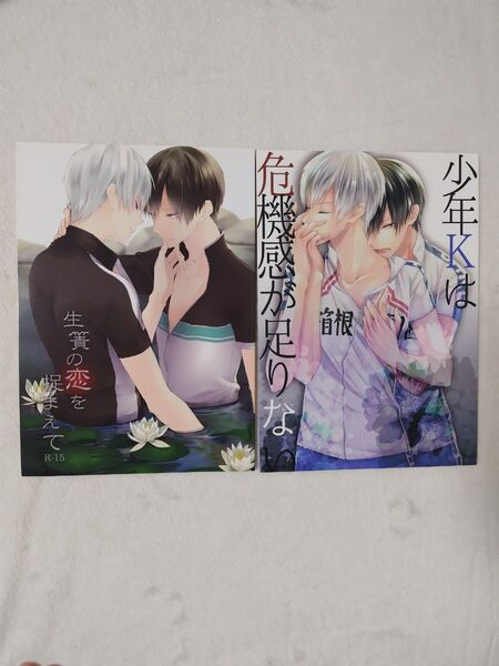 弱虫ペダル 同人誌 少年Kは危機感が足りない 生簀の恋を捉まえて 2冊セット 黒荒