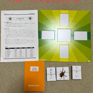 知研プログラム11期 どんな花火かな