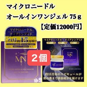 マイクロニードル オールインワンジェル 75g【定価12000円】2個セット