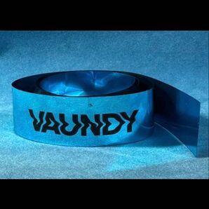VAUNDY "FUSION" 3/2LIVE 銀テープ②