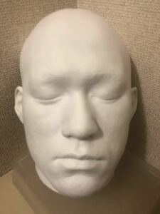 [ prompt decision * free shipping ] blues Lee life mask stone .
