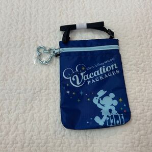 ディズニー バケパ ショルダーバッグ