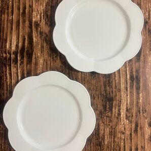 ドットフリルツヤホワイト 中皿 18cm 2枚 オシャレ カフェ風 せっ器