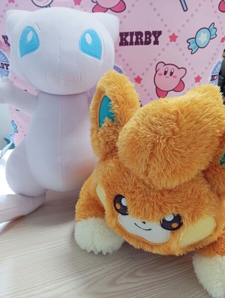 ポケモンぬいぐるみ ミュウ・パモ