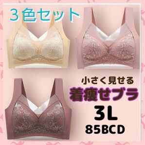 【着痩せブラ3色セット 3Lサイズ】胸を小さく見せるブラ ノンワイヤーブラ シームレスブラ