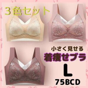 【着痩せブラ3色セット Lサイズ】胸を小さく見せるブラ ノンワイヤーブラ シームレスブラ