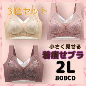 【着痩せブラ3色セット 2Lセット】胸を小さく見せるブラ ノンワイヤーブラ シームレスブラ