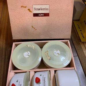 EJIRY エジリー 陶器レンジ用密封容器シリーズ ストロベリーズ 5点セット