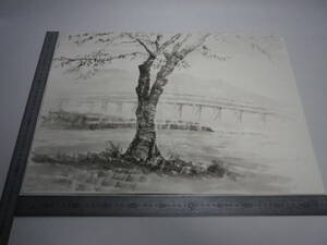 Art hand Auction Togetsukyo Bridge ~ Sakura 2 (front and back drawing) Ink painting [Masayasu Sakagauchi] Author's original painting Genuine P10 size Hahnemühle paper (aged storage item) [Free shipping] 00700224, Artwork, Painting, Ink painting