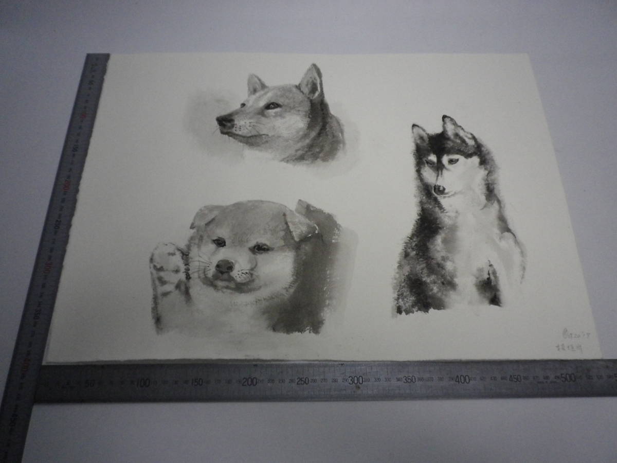 Dog ink painting [Masayasu Sakagauchi] Author's original genuine P10 size Hahnemühle paper (aged storage item) [Free shipping] 00700232, Artwork, Painting, Ink painting